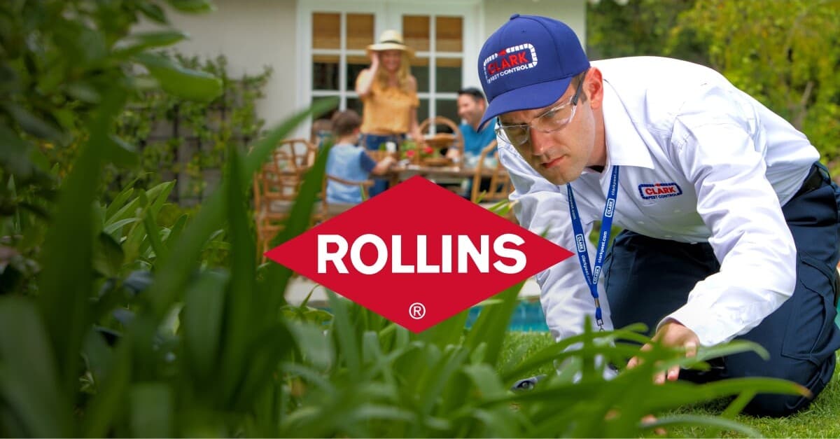Medewerker van Rollins aan het werk in een tuin